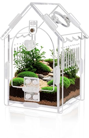 YUEHUA Acryl Reptilien Transportbox Mini Reptilien Anzuchtbox für Schnecken Tarantel Eidechsen Skorpione Käfer (8 x 8 x 14 cm)