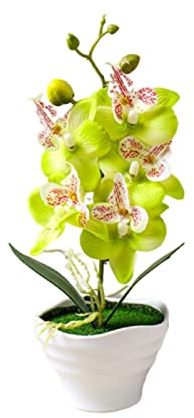 Generico 1 Piece Mini Orchidee Rosse Artificiali in Vaso Verde Simulazione di Orchidea Farfalla Finta Tavolo da Pranzo Decorazione Fiore 27 cm (verde)
