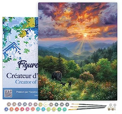 Figured'Art Peinture par Numéro Adulte avec Cadre Ours et coucher de soleil - Activité Manuelle Kit de Loisir Créatif DIY Numéro d'Art Complet - 40x50cm toile tendue sur châssis