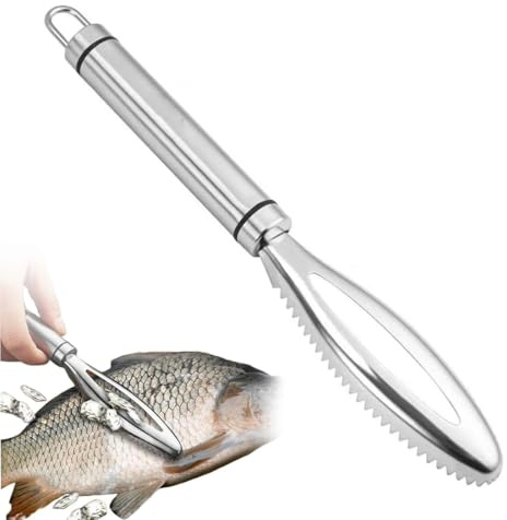 CATZUM 1 Pcs Squamatore Pesce in Acciaio Inox, Rimozione Veloce delle Squame, Attrezzo Professionale con Denti Seghettati per Cucina e Mercati di Frutti di Mare