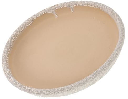 Yardenfun Base per Vaso di Fiori in Ceramica Rotonda da 20 CM Sottovaso per Drenaggio Piante Grasse Vassoio Stabile per Fioriere da Interno Protezione da Fuoriuscite e Decorazione Casa