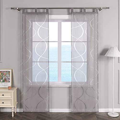 ESLIR Schiebegardinen Voile Flächenvorhänge Set 2er Schlaufen Grau 57x245 | Schiebevorhang, Wohnzimmer, Schlaufenschals, Vorhang Transparent, Ausbrenner, deko Gardinenschals, Fenster Gardine modern