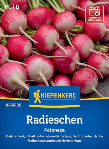Kiepenkerl Radieschensamen Poloneza 1046080, Gemüsesaat | Inhalt für 8-10 laufende Meter, schossfest