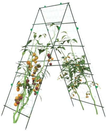Ordellia Red de enrejado con marco A de acero y revestimiento de polietileno, 2 unidades, 99 x 90 x 175,5 cm, malla 10 x 10 cm, para plantas trepadoras en el balcón o terraza, resistente