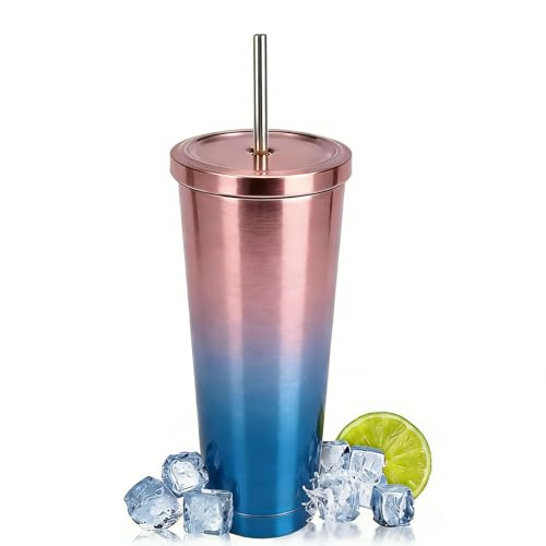 Vastsea Vaso acero inoxidable, Vaso tapa pajita, Vaso aislado, con pajita y tapa, para café, té, bebidas frías y calientes. (500ml)