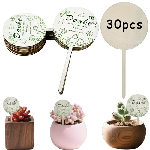 30 Stück Blumenstecker Schild Danke Dass du Mir Beim Wachsen Geholfen Hast | Blumenstecker Danke Blumentopf Pflanzenschilder Holz Schild Pflanzenstecker Erzieherin Abschiedsgeschenk Dankeschön Geschenk