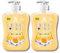 Astonish Protect and Care Kind to Skin Moisturising Anti-Bacterial Hand Wash Soap, Milk and Honey - 600ml, Pack of 2 Bottles for Lasting Hygiene and Gentle Care