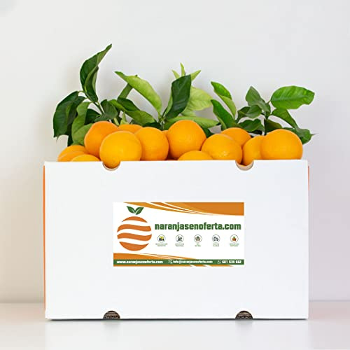 NARANJAS DE ZUMO ORIGEN VALENCIA. RECIEN RECOLECTADAS. (5KG)