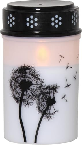 Star Trading - Luz LED para tumba (12 cm, luz blanca cálida, con temporizador, batería, para tumba o tumba, diente de león, color blanco cálido)