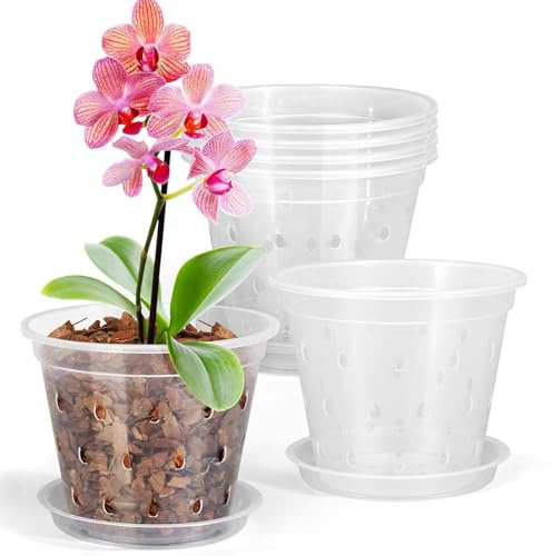 SMELEYOU Vasi per orchidee in plastica trasparente da 5 pezzi con fori di drenaggio e ventilazione per piante da interno/esterno come orchidee e piante grasse 80 mm Vaso per trasparente 80 mm