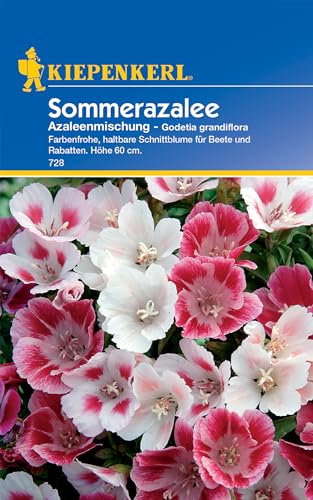 Kiepenkerl 728 Sommerazalee Azaleenmischung (Sommerazaleensamen)