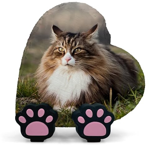 AIGAT Personalisierte Herz-Gedenktafel mit Pfotenständer für Haustier Katze Hund Schiefer Stein Grab Marker - Horizontal - Größe 4 x 4 / 10 x 10 cm
