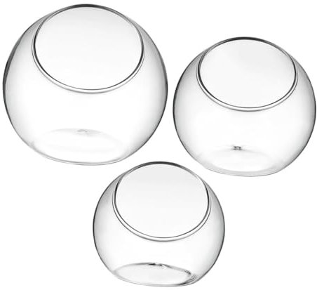 Sosoport 3piezas Botella Ecológica De Decorativo Contenedor para Pequeña para Oficina
