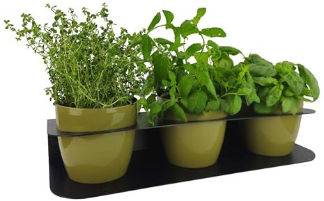 Tecnokit Porta Piante Aromatiche Metallo Design Moderno da Banco o Muro con 3 Vasi Tera Inclusi Ø16cm - Fioriera Interno Esterno Resistente UV 58x18x10cm (NERO/OLIVE)