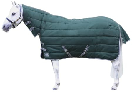StormX - Empra Combi Combo-Kragen Pferde Stalldecke (198cm) (Grün)