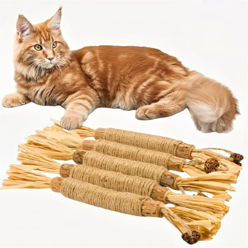 bergxperten Bâtonnets Silvervine Naturels pour Chats – Jouet Dentaire à Mâcher, Nettoyage des Dents & Haleine Fraîche – Anti-Stress & Anti-Ennui, Lot de 5/10/20