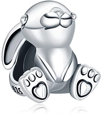 Annmors Passion 925 Sterlingsilber Anhänger Bead Charms für Armband und Kette, für Pandora