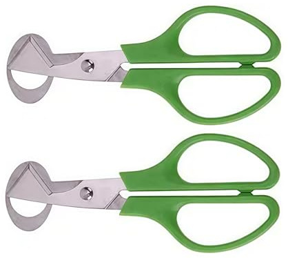 2 tagliauova in acciaio inox, forbici per uova di quaglia, forbici per uova di uccello, tagliauova per uova, apri uova in acciaio inossidabile, forbici da cucina in acciaio verde