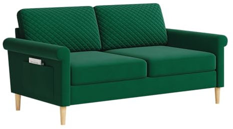 Vesgantti Samt Sofa 2 Sitzer, 164cm Sofa mit beidseitigen Taschen, Couch 2 Sitzer mit 2 Kissen und Armlehnen, Doppelsofa für Wohnzimmer, Schlafzimmer, Büro, Montage ohne Werkzeug 164L*76D*85H cm