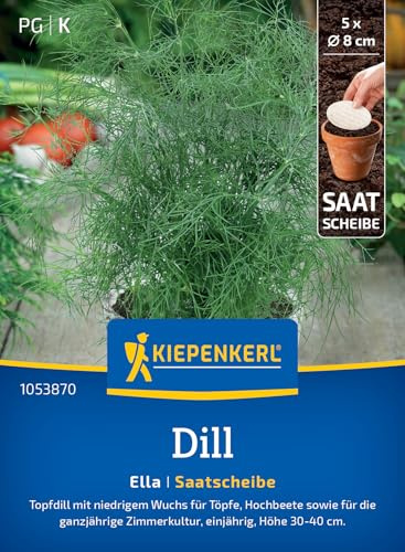 Kiepenkerl Dillsamen Ella 1053870, Kräutersaat | Wuchshöhe 30 bis 40 cm, Inhalt für 5 Stück, Saatscheibe, aromatisch