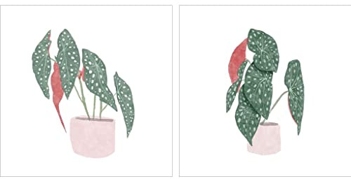Polka Dot Begonia by Bannarot, 2 Piece Unframed Art Print Set, 12 X 12 Inches Each, Floral Art