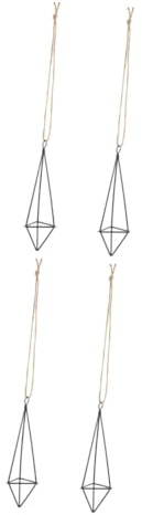 Toyvian 2 Set Supporto Per Fiori Sospeso Portapiante Sospese Ganci Da Pianta Piccolo Appendiabiti Per Piante Appendiabiti Per Fioriera in Metallo Nero Ferro Da Stiro 2 Pezzi*2