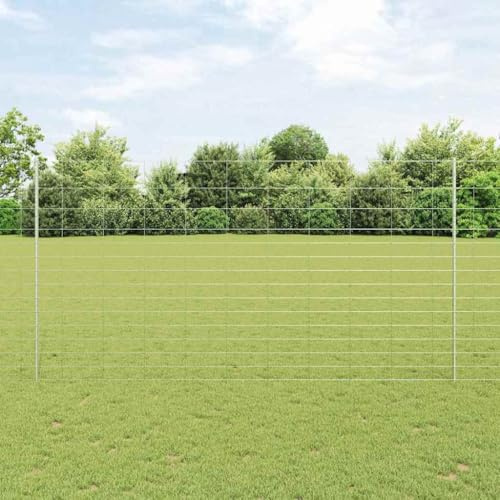 Recinzione frangivista doppia asta, recinzione con palo argento, 1,6 x 50 m, acciaio