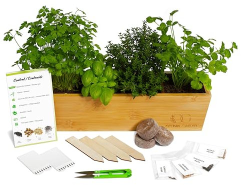Optimal Garden Kit de Cultivo de Plantas Aromáticas y Culinarias - Mini Huerto Urbano Terraza (Cilantro - Perejil - Albahaca - Tomillo) - Kit Completo para Cultivar Fácilmente Tus Hierbas Frescas