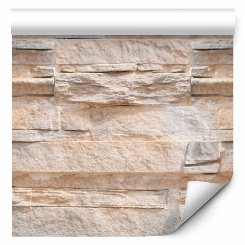 murando PREMIUM Vlies Tapete Deko Panel Fototapete Wanddeko 10 m Tapetenrolle Mustertapete Wandtapete modern design f-A-0727-j-a
