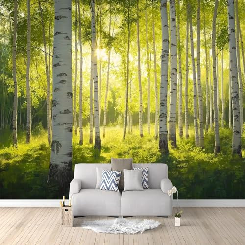 Fotomurale 3D Carta Da Parati Scenario Naturale Foresta Di Betulle Sole Verde 300 x 210 cm Carta Da Parati Camera Letto Moderna Fotomurali Murales Poster Gigante Moda Decorazione Da Muro