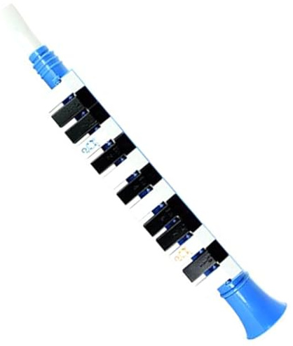 UKCOCO Mélodica Instrument De Musique pour Débutants 13 Touches Portable Plastique Multicolore Garçon Et Filles Apprentissage École