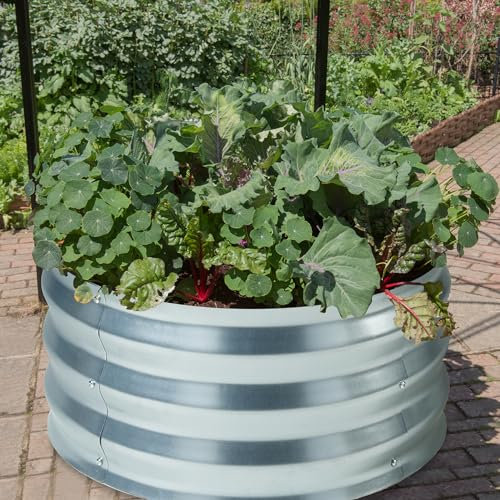 casa.pro Jardinière Surélevée Grande Taille Lit Surélevé Bac à Fleurs Carré Potager Haute Parterre de Jardin Bac de Plantation pour Extérieur Terrasse Balcon Acier Galvanisé 61 x 31 cm Argent