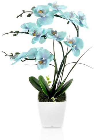 cailion Künstliche Orchideen Kunstblumen Künstliche Phalaenopsis Orchidee Bonsai künstliche Blumen mit Imitation Gefälschte Orchideen für Wohnzimmer Badezimmer Tischdekoration (Blue001)