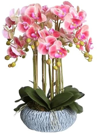 SdaryWare Orchidée Artificielle 23 Pouces Fleur Artificielle avec Vase en Porcelaine Ensemble de Fleurs de phalaenopsis artificielles en Pot Fausses orchidées Fleurs artificie