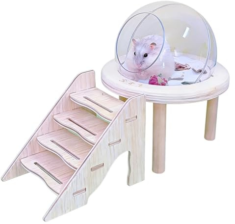 Generisk hamster sandbad-låda, litet gnagare toalett, transparent chinchilla dammbad hus med stege för dvärghamstrar, racingmus, kanin, igelkott, chinchillabur, habitat-dekoration