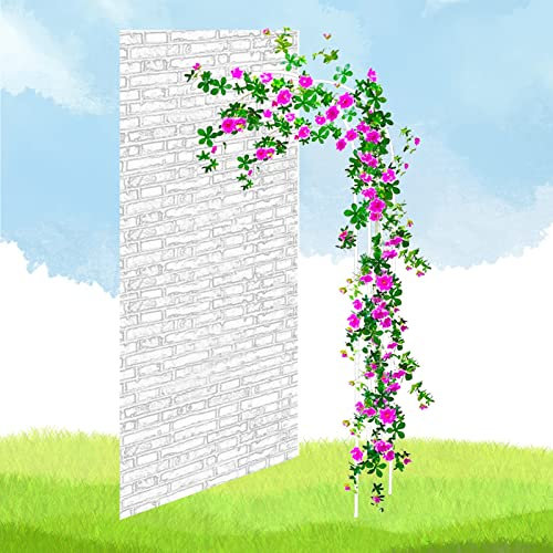Demi-Arche À Rosiers, Arche de Jardin, Tube galvanisé revêtu de plastique PE, support d'escalade de rosace demi-cintré au mur, cadre d'escalade for plantes grimpantes légères dans le jardin ( Color :