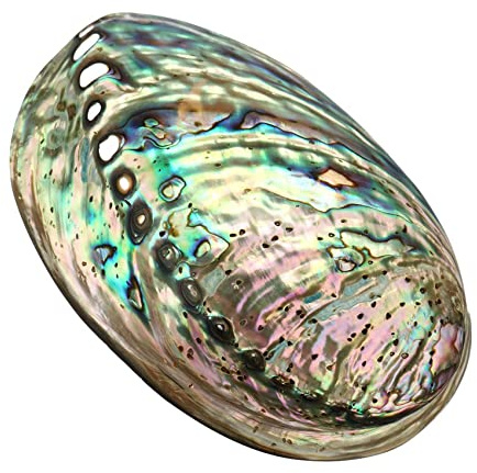 Große Abalone-Meeresmuschel, dekorative verwischte Abalone-Muschel mit Mehreren Löchern, für Party-, Hochzeit- Heimdekorationen, Accessoires, 90 x 120 x 39 mm Loch:Ca. 3-9 mm.