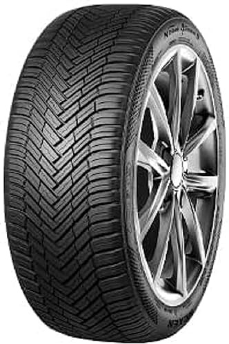 Nexen 225/55 R17 101W XL Ganzjahresreifen Allwetter M+S 3PMSF Reifen
