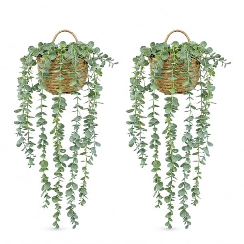 2PCS Faux Eucalyptus Hanging Plants with Woven Baskets, Artificial Hanging Plant Wall Decor with Black Hooks, Fake Trailing Greenery for Bedroom Bathroom Kitchen Shelf Window Living Room Home Decor