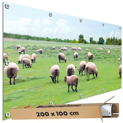 TRIOSK Sichtschutz Balkon Deko Plane Balkonblende Blickdicht mit Motiv Schaf Herde Weide für Garten Terrasse Gartenzaun Balkonverkleidung Blickschutz PVC groß 200x100 cm