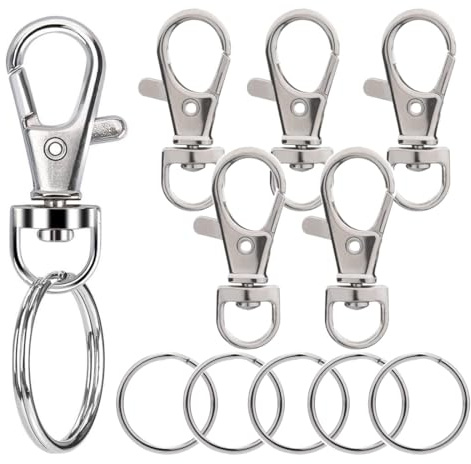 6 Pièces Mousqueton Porte Clé Porte Clef Mousquetons en Métal Porte-Clés Homme, Petits mousquetons amovibles, Prises d'escalade Clip Boucle Printemps Fermoirs pour Sac à Dos, Voyage, Camping