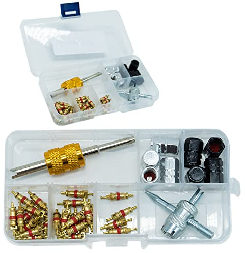 SZXMDKH 40 pezzi Kit di strumenti per rimozione del nucleo della valvola con nuclei e tappi della valvola Schrader per pneumatici, strumento per rimozione del nucleo della valvola Schrader