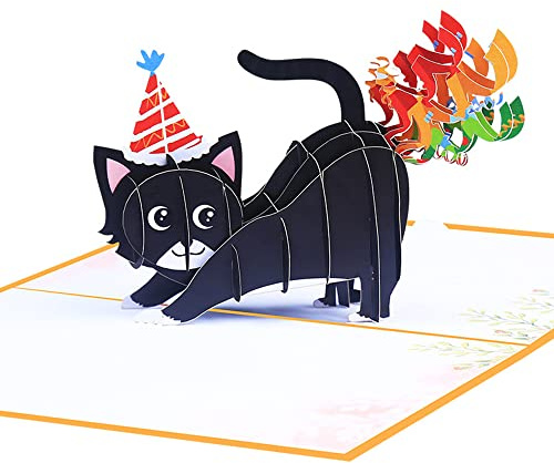 Pop Up 3D Katze,Geburtstagskarte,Glückwunschkarte,Freundschaftskarte,Geschenkkarte,Überraschungskarte,Ermutigungskarten mit Schwarze Katze