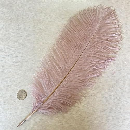PEKNUX 40–45 cm Straußenfedern, Hochzeit, Hotel, Dekoration, Bühnenaufführung, Dekoration, Helles Altrosa