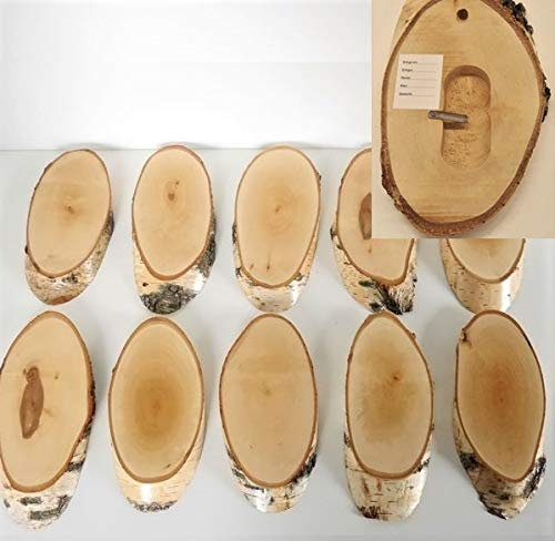 GTK - Geweihe & Trophäen KRUMHOLZ 10 Stück Birke Schilder Trophäenschilder REH Rehbock Geweih Baumscheibe Baumschild Natur Holz modern mit Kieferfach