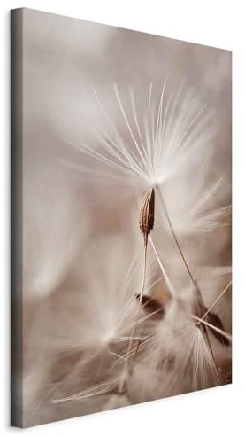 murando - Leinwandbild Blumen Natur Botanik, 40x60 cm, 1-teilig, Wohnzimmer | Hochwertige Leinwand, sofort aufhängbar, ideal fürs Wohn- oder Schlafzimmer, wasserfest und lichtecht, langlebig, stilvoll