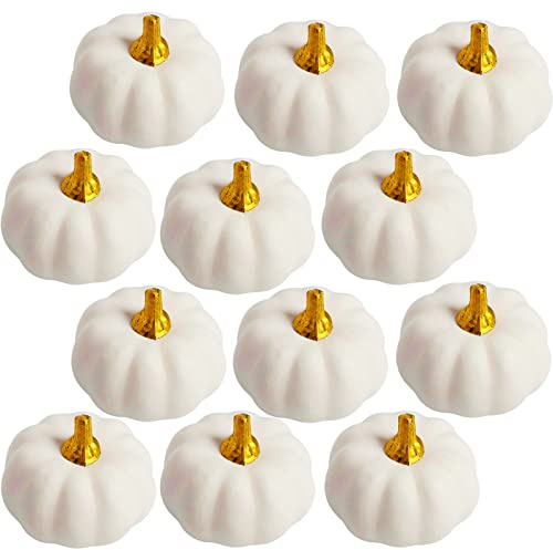 YAAVAAW 12 Stück Herbst Deko Künstlicher Kürbis Kleiner Weiß,Kürbis Deko Gefälscht Schaum Herbstdekorationen für Zuhause Thanksgiving Dekoration,Halloween,Tischdeko,Partydekoration,Hochzeit,DIY