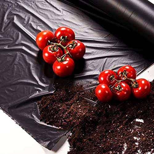 Bricoloco Acolchado para huerto Film de Polietileno Ancho 1 Metro Perforado galga 200 Perforado Especial Cultivo de Tomates. (650 Metros)