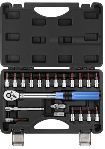 ERYUE Ensemble D'Outils de Réparation de Vélo Professionnel 21 Pièces avec clé Dynamométrique Préréglée 2-24N.m pour Paquet Boîte à Outils Vélos, Matériau Bleu argenté et