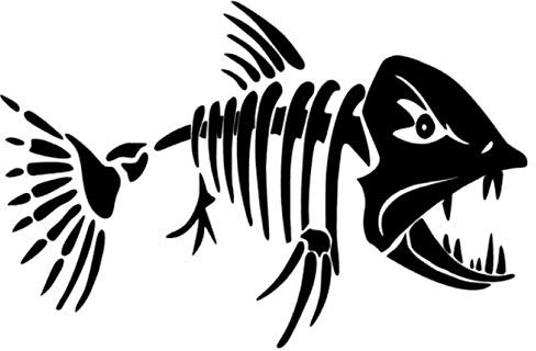 Fisch Aufkleber als Autoaufkleber oder Wandtattoo Aufkleber in 15cm 20cm oder 25cm Größe, Fisch Fishing Angeln Sport Aufkleber (232/12) (weiß Glanz, 25cm)
